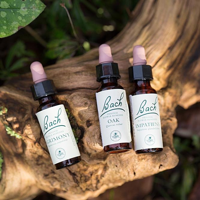 Bachbloesems en Homeopathie
